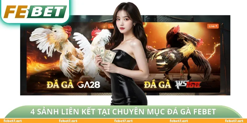 4 sảnh liên kết tại chuyên mục đá gà FEBET