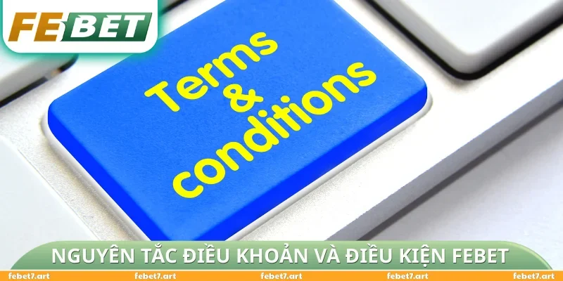 Các nguyên tắc chung trong điều khoản và điều kiện FEBET