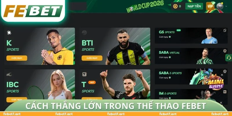 Cách thắng lớn trong Thể Thao FEBET