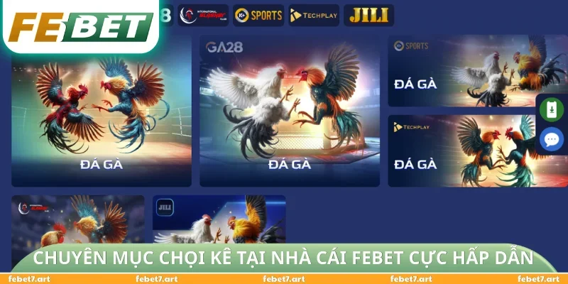 Chuyên mục chọi kê tại nhà cái FEBET cực hấp dẫn