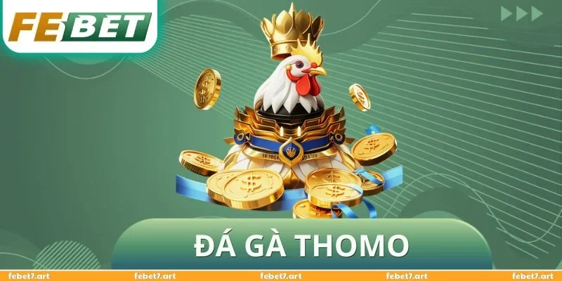 Đá Gà Thomo