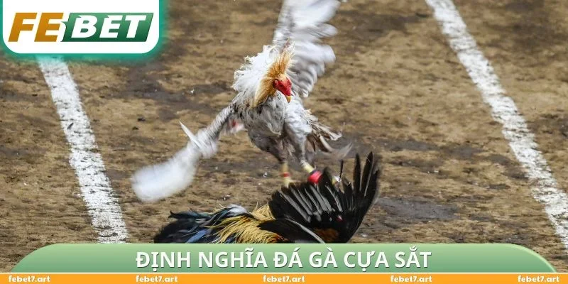 Định nghĩa đá gà cựa sắt