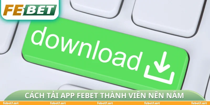 Hướng dẫn nhanh cách tải app FEBET thành viên nên nắm