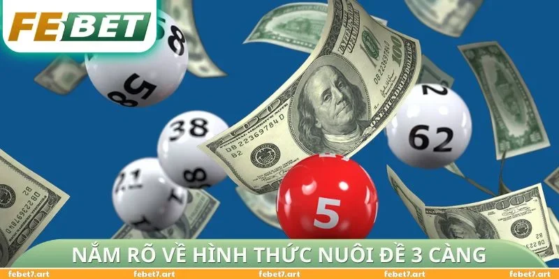 Nắm rõ về hình thức nuôi đề 3 càng