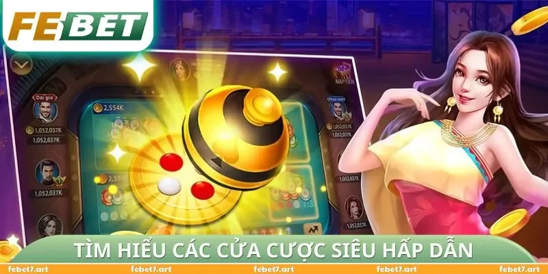 Tìm hiểu các cửa cược siêu hấp dẫn