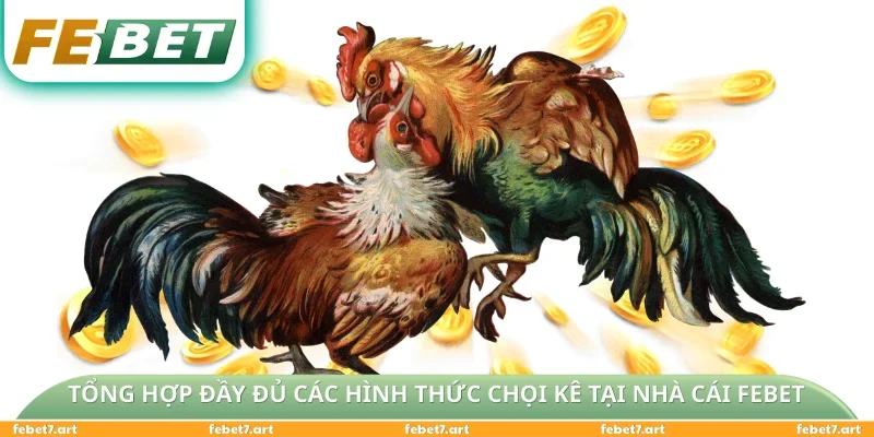 Tổng hợp đầy đủ các hình thức chọi kê tại nhà cái FEBET
