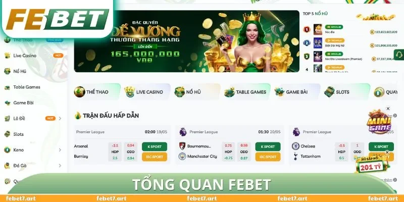 Tổng quan FEBET