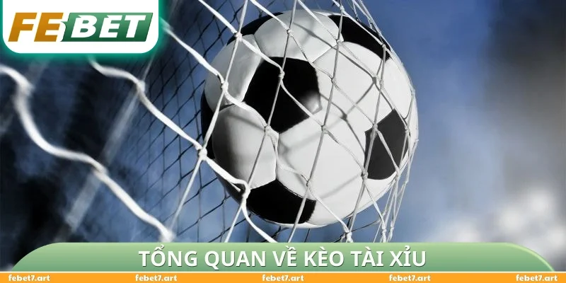 Tổng quan về kèo tài xỉu